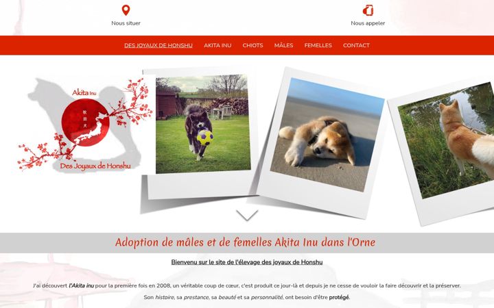 Képernyőkép: elevage-akitainu.fr