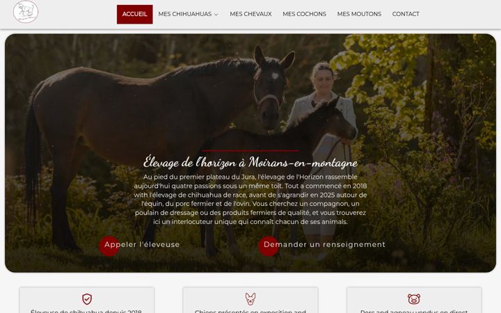 Képernyőkép: elevage-chihuahua-franche-comte.fr