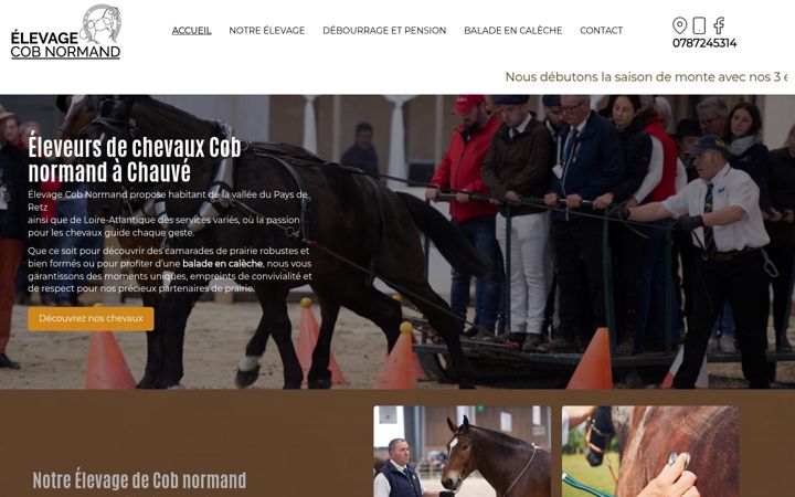 Képernyőkép: elevage-cob-normand.fr