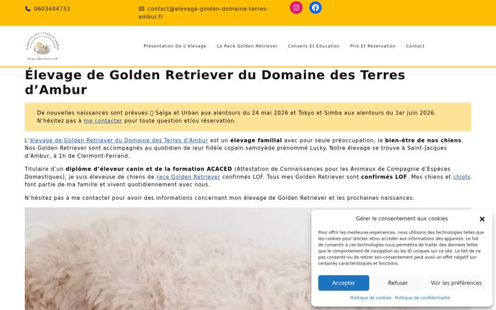 Képernyőkép: elevage-golden-domaine-terres-ambur.fr