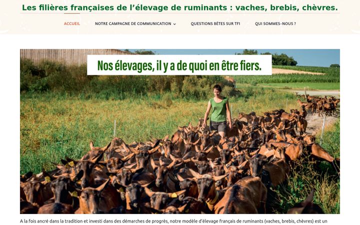 Képernyőkép: elevage-ruminants.fr