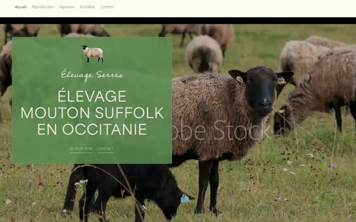 Képernyőkép: elevage-suffolk-serres.fr