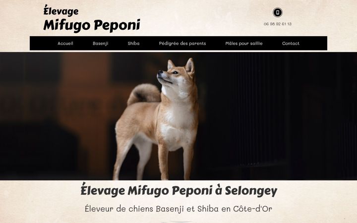 Képernyőkép: elevagebasenji-mifugopeponi.fr