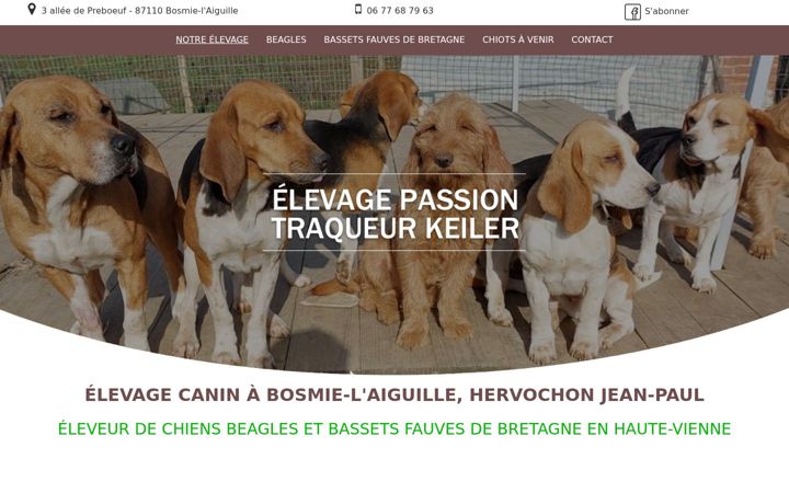 Captură de ecran a elevagebeaglebassetfauve.fr