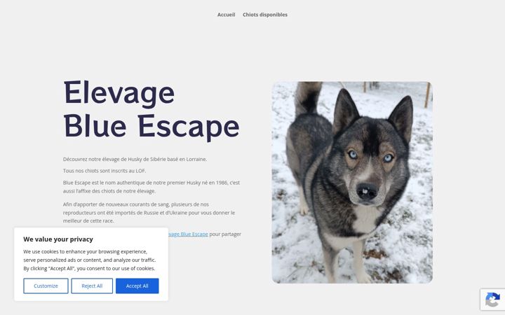 Captură de ecran a elevageblueescape.fr
