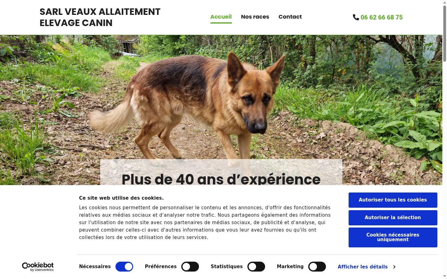 Screenshot tal-banner tal-kunsens muri qabel kwalunkwe interazzjoni