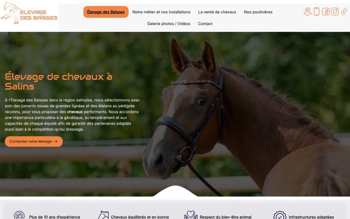 Captură de ecran a elevagedesbaisses-chevauxdedressage.fr