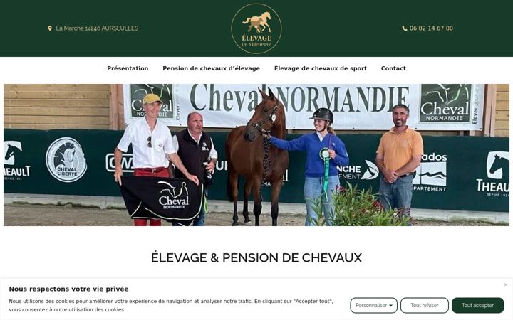 Képernyőkép: elevagedevilleneuve.fr