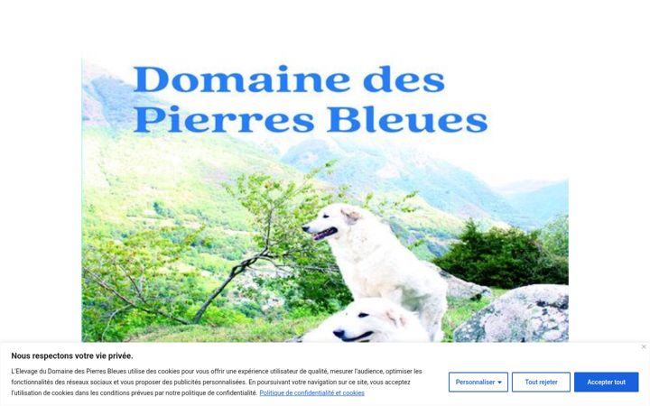 Screenshot of elevagedudomainedespierresbleues.com