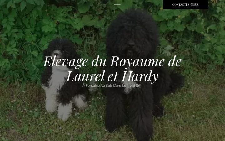 Képernyőkép: elevageduroyaumedelaurelethardy.fr