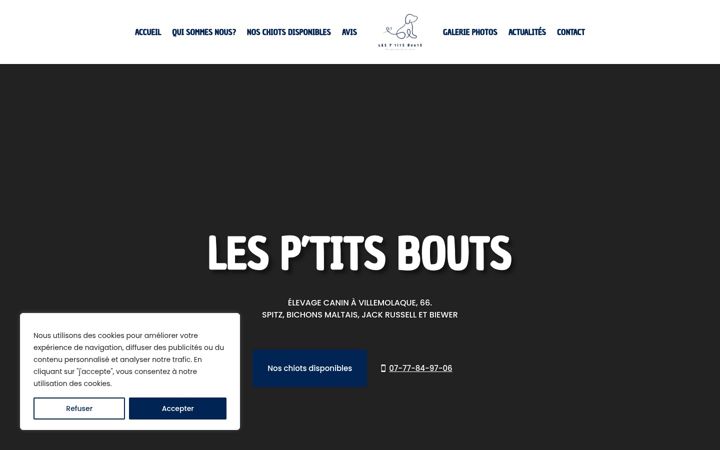 Képernyőkép: elevagelespetitsbouts.fr