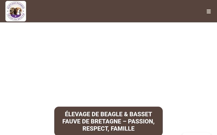 Képernyőkép: elevagepassiontraqueurkeiler.fr