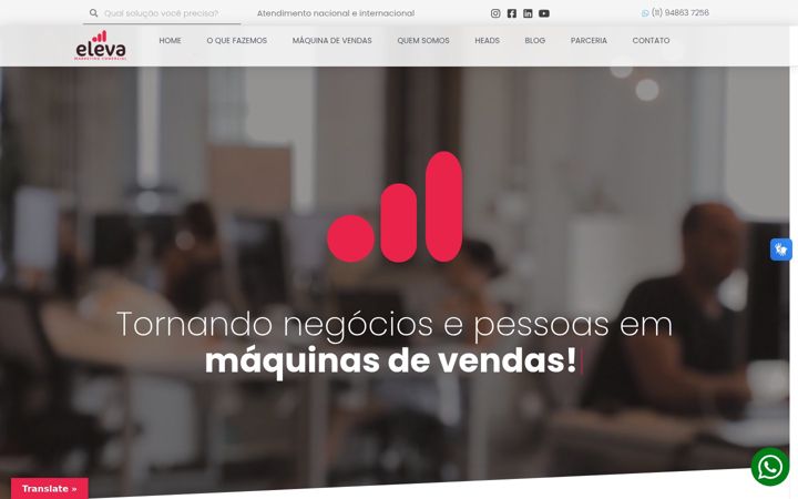Екранна снимка на elevamarketingcomercial.com.br