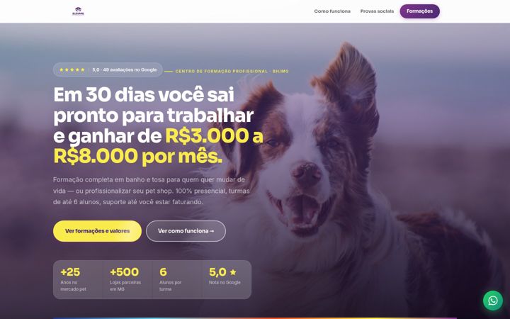 Екранна снимка на elevarepet.com.br