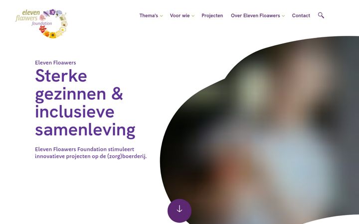 Screenshot of elevenfloawers.com