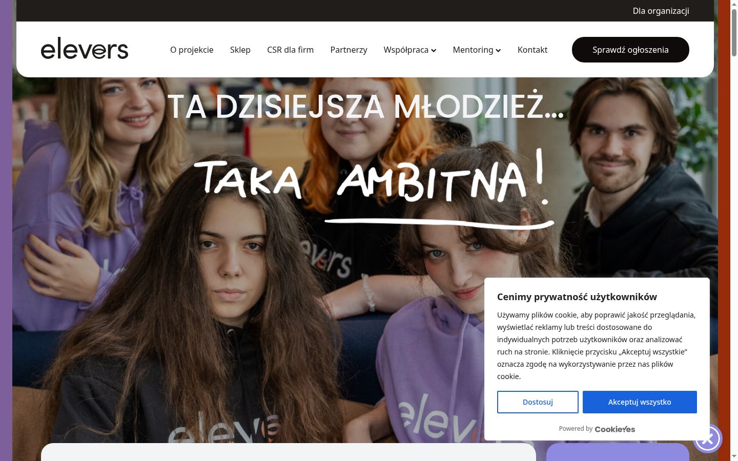 Screenshot of the consent banner shown before any interaction