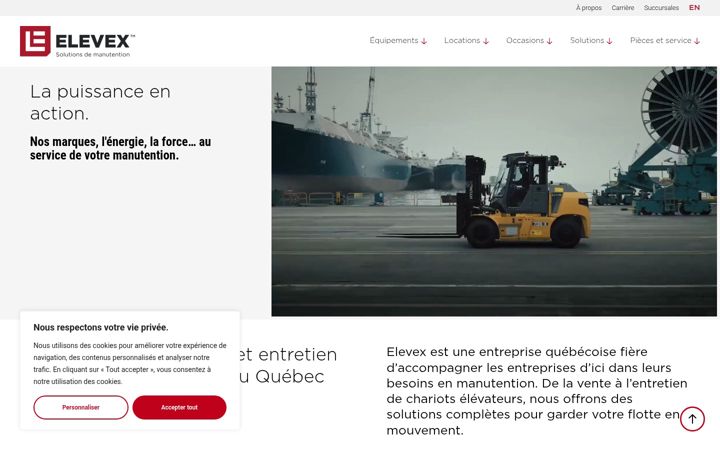Captura de pantalla de elevex.ca