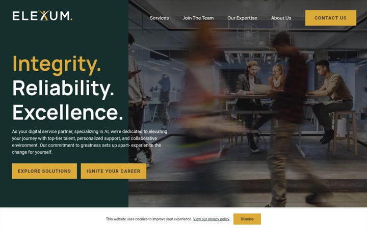 Screenshot of elexum.com