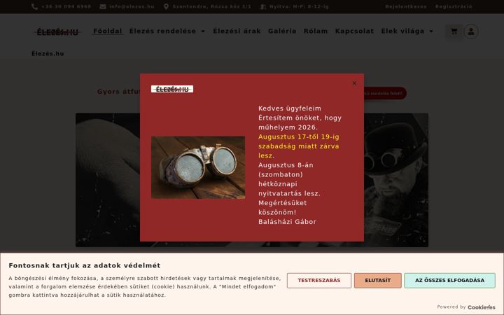 Posnetek zaslona elezes.hu