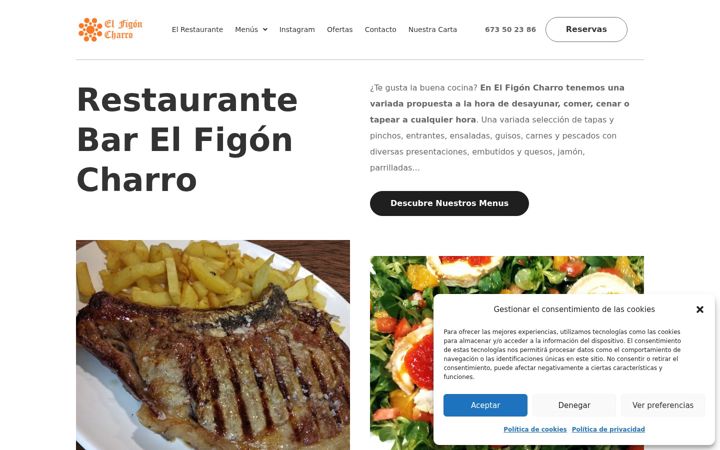 Captura de pantalla de elfigoncharro.es