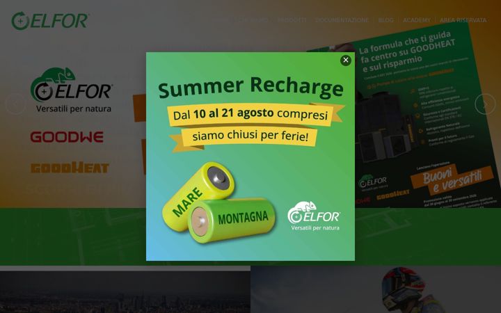 Skjámynd af elfor.org