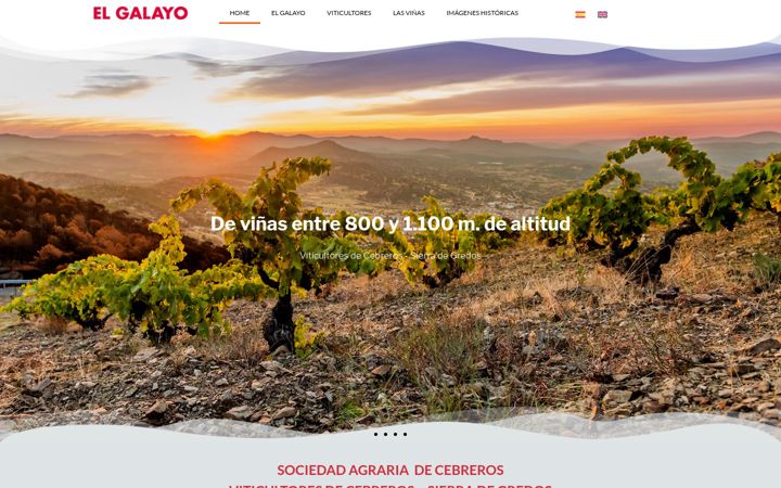Screenshot of elgalayo.com