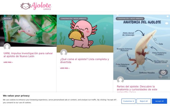 Screenshot of elgaragedelajolote.com