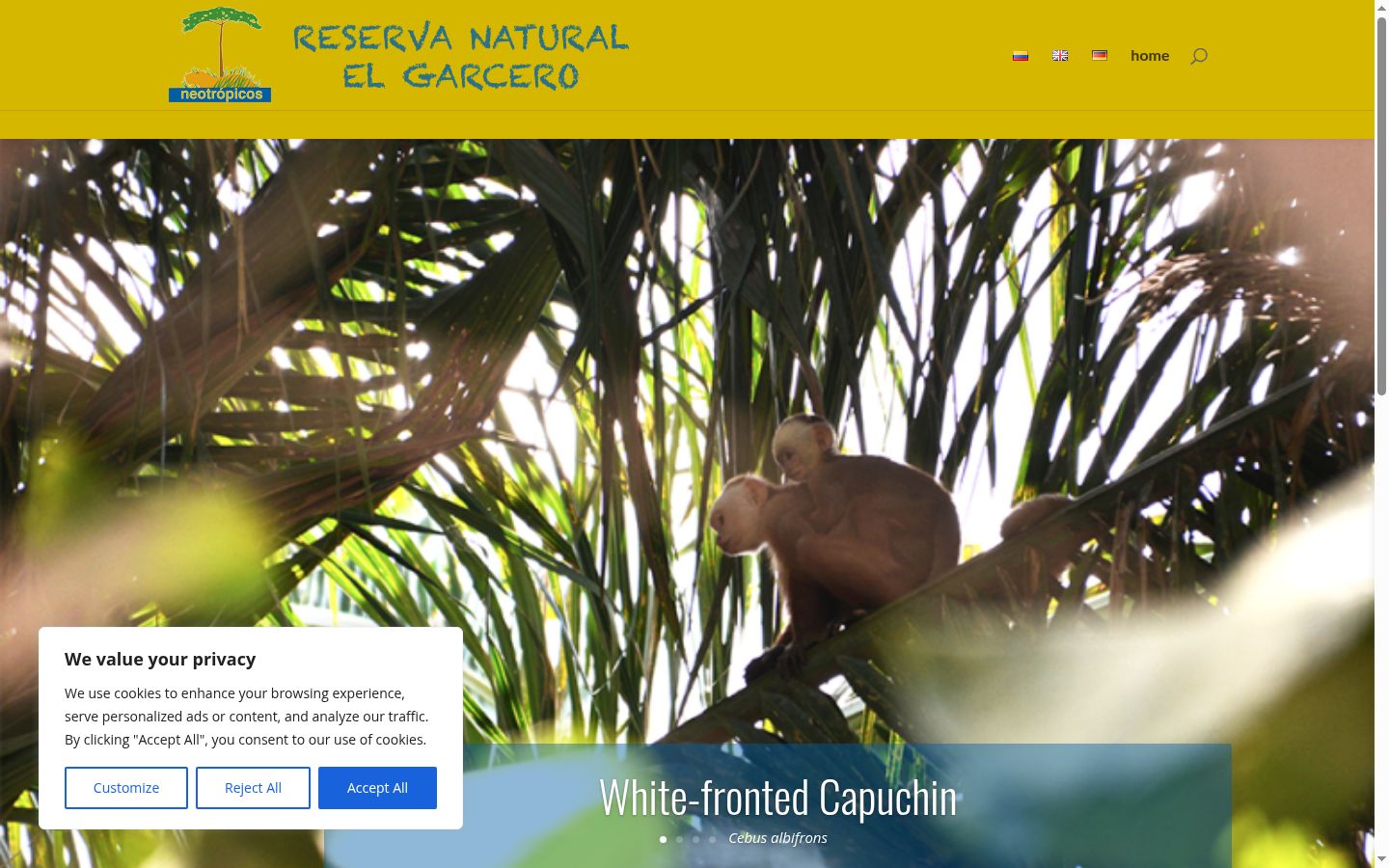 Screenshot of the consent banner shown before any interaction