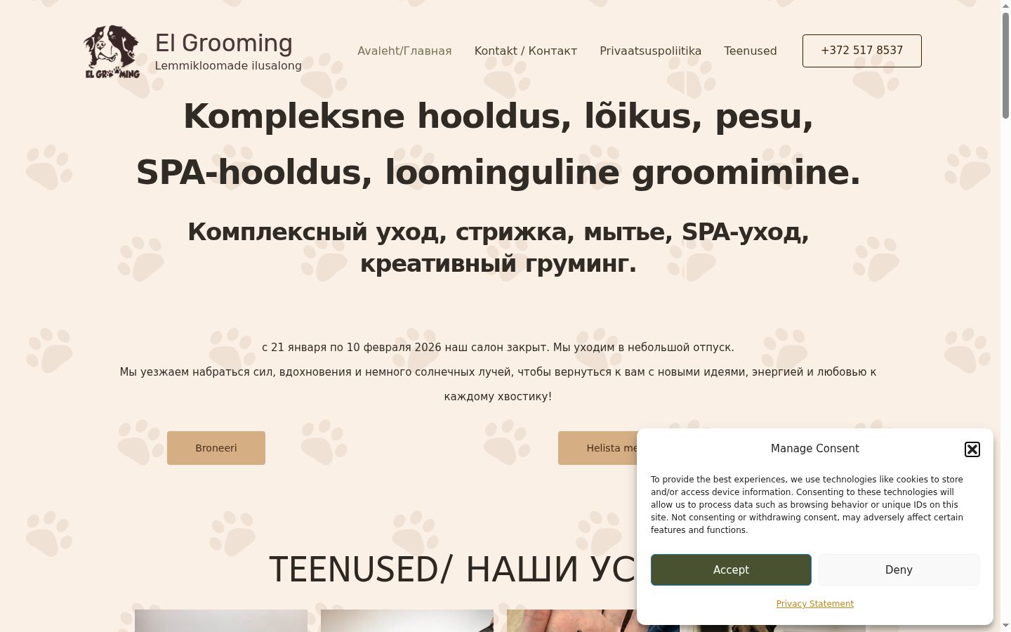 Screenshot of the consent banner shown before any interaction
