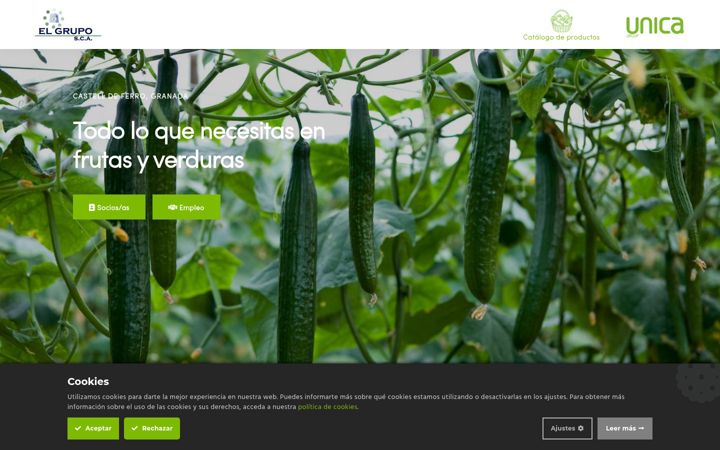 Screenshot of elgrupo-sca.com