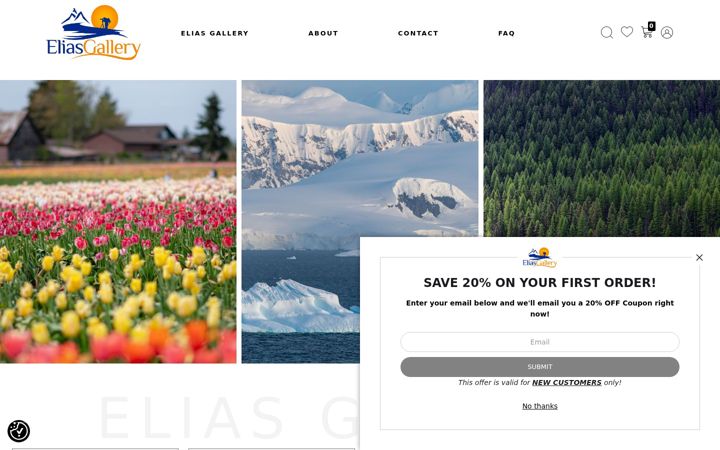 Screenshot of eliasgallery.com