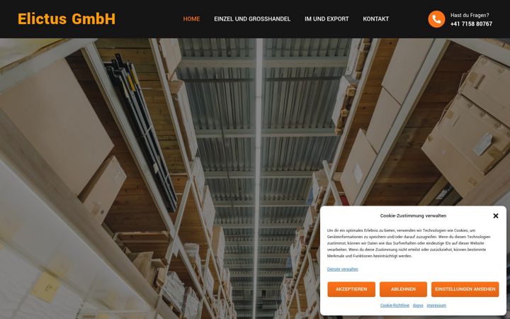 Snímek obrazovky elictus-gmbh.ch