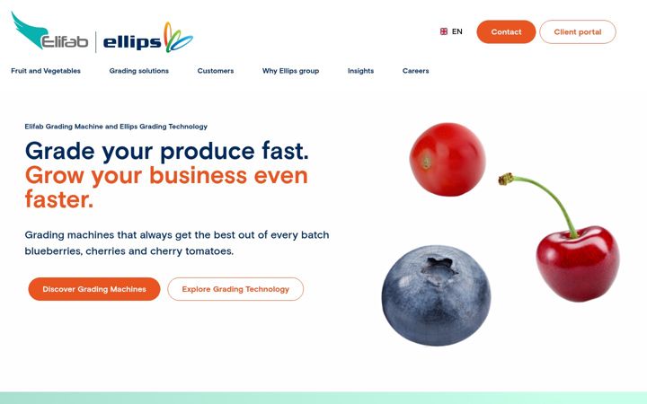 Screenshot of elifab.com