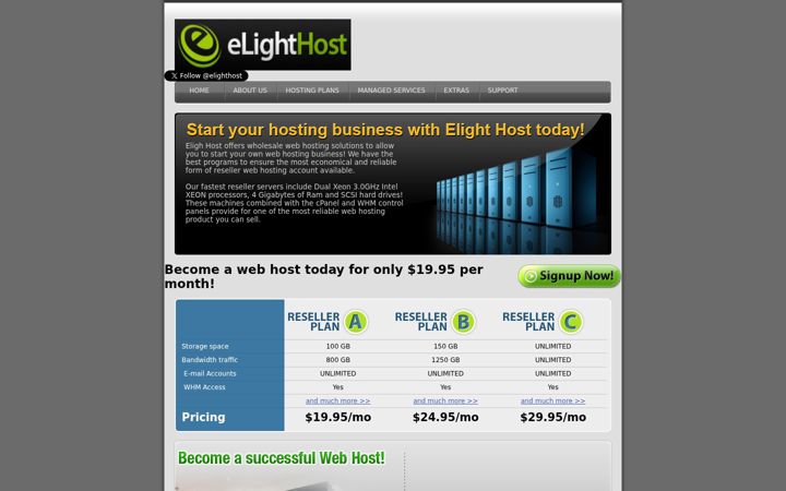 Ekraanipilt saidist elighthost.com