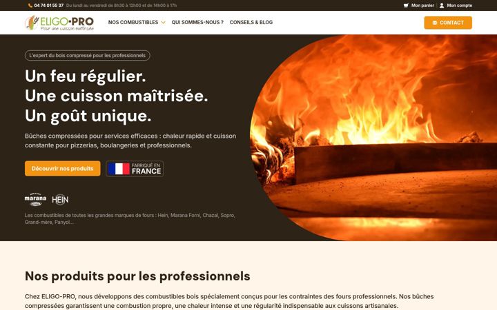 Képernyőkép: eligo-pro.fr