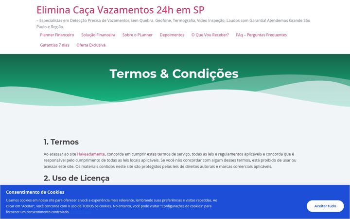 Screenshot of eliminacacavazamentos.com.br