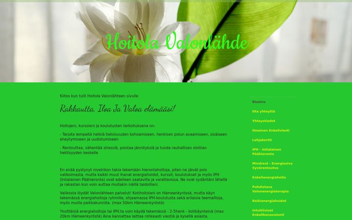 Screenshot of elinanenergiahoidot.fi