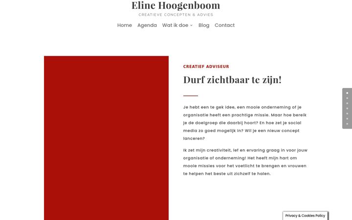 Snímek obrazovky eline-hoogenboom.nl