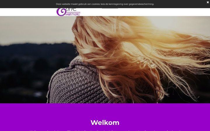 Snímek obrazovky elinehairstyling.nl