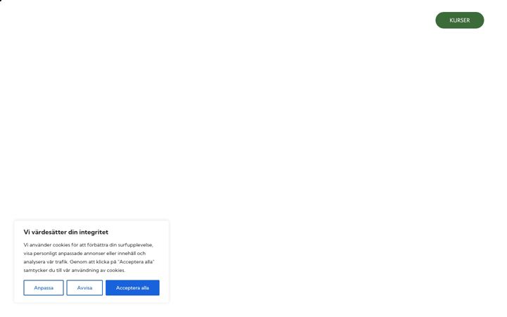 Screenshot ta' elinens.se