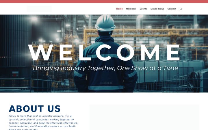 Screenshot di elinex.co.za