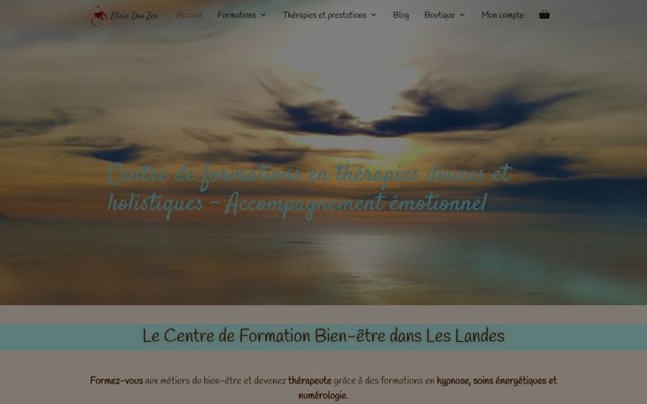 Screenshot ta' eliricdaozen.fr