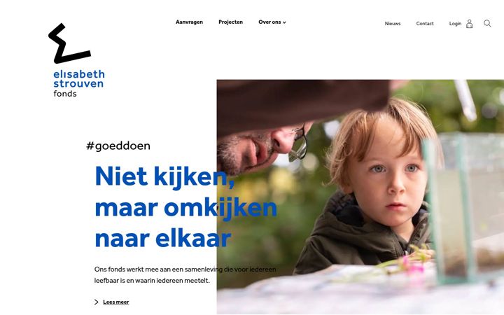 Zrzut ekranu elisabethstrouvenfonds.nl