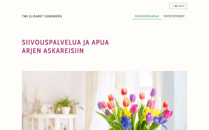 Captura de pantalla de elisabetinsiivous.fi