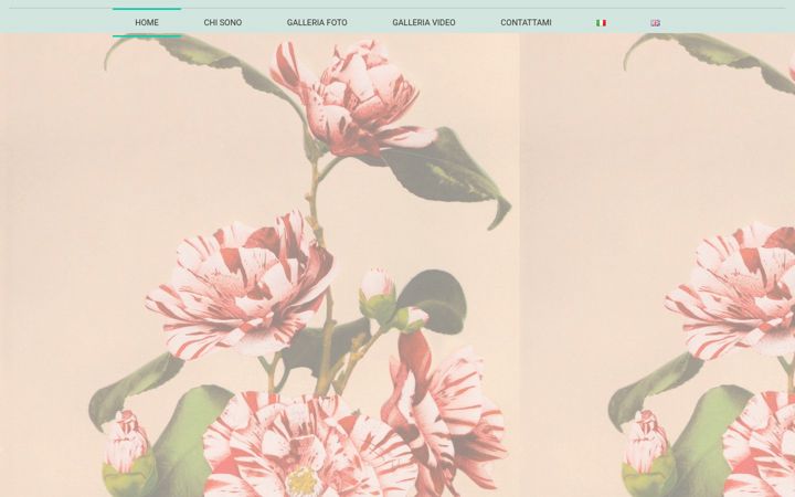 Screenshot of elisafortuna.com