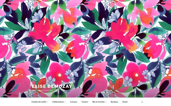 Screenshot of elisedemozay.com