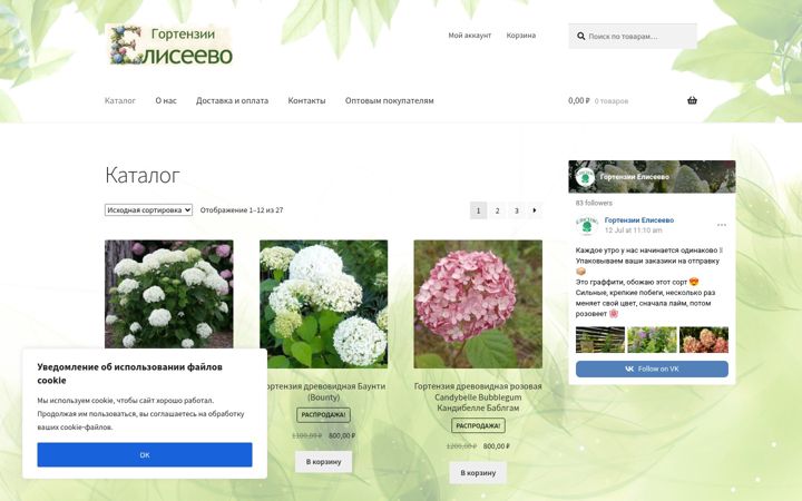 Snimka zaslona za eliseevo.ru
