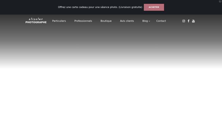Screenshot ta' eliseleininger.fr