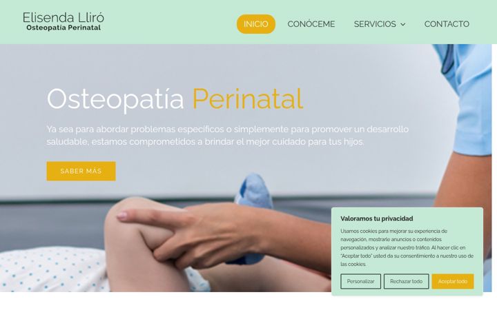 Screenshot of elisendalliro.com