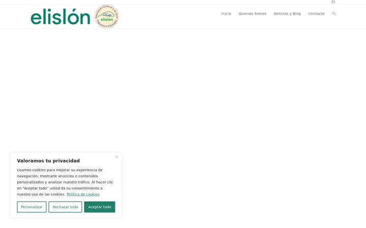 Screenshot of elislon.es